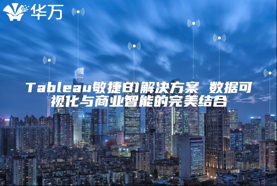 Tableau敏捷BI解決方案 數(shù)據(jù)可視化與商業(yè)智能的完美結(jié)合