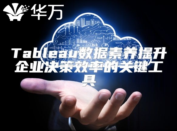Tableau數(shù)據(jù)素養(yǎng)提升企業(yè)決策效率的關鍵工具