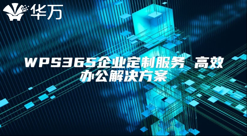 WPS365企業定制服務 高效辦公解決方案