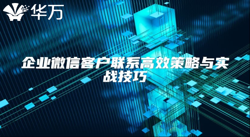 企業微信客戶聯系高效策略與實戰技巧
