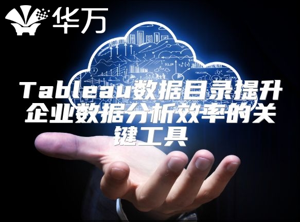 Tableau數(shù)據(jù)目錄提升企業(yè)數(shù)據(jù)分析效率的關(guān)鍵工具