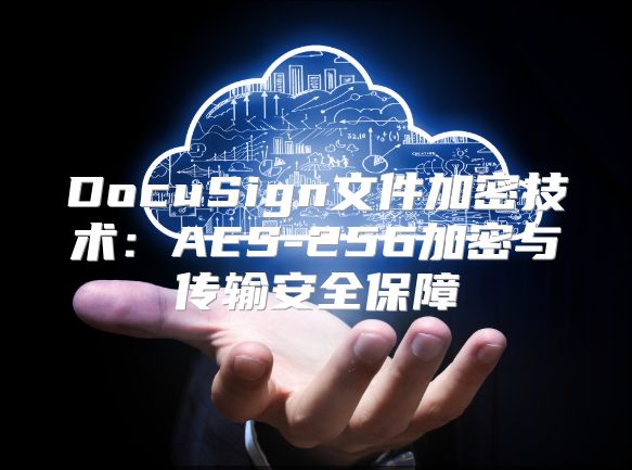 DocuSign文件加密技術(shù)：AES-256加密與傳輸安全保障