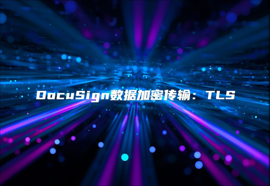 DocuSign數據加密傳輸：TLS