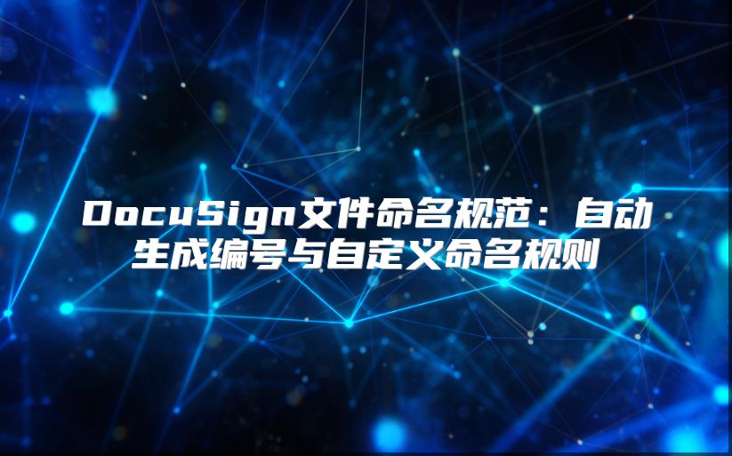 DocuSign文件命名規范：自動生成編號與自定義命名規則